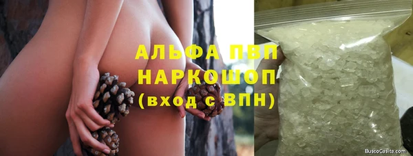 эйфоретик Аркадак