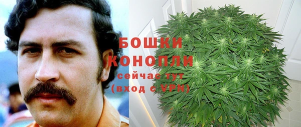 эйфоретик Аркадак