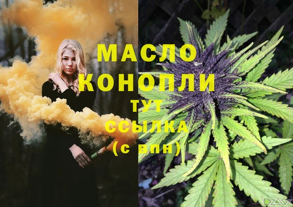 эйфоретик Аркадак