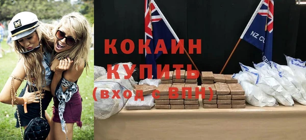 твердый Арсеньев