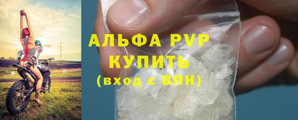 эйфоретик Аркадак