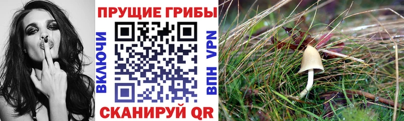 omg маркетплейс Верхняя Салда Галлюциногенные грибы ЛСД